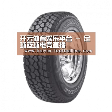 开云体育娱乐平台产品名称七