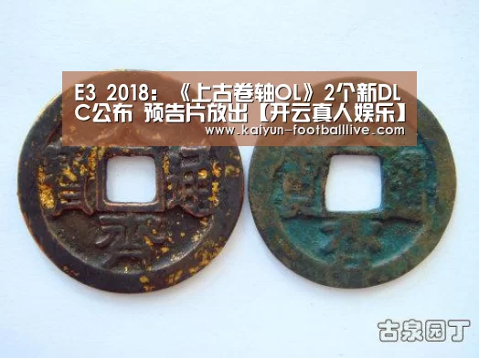 开云真人娱乐