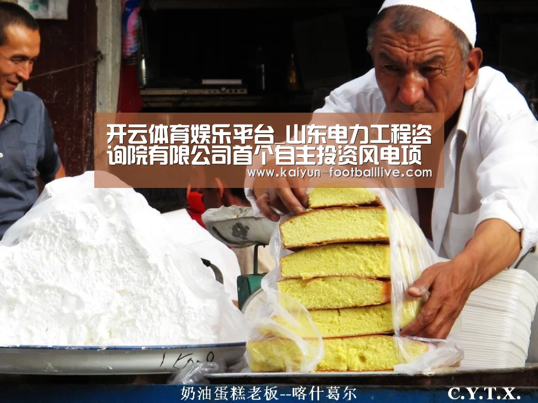 开云体育娱乐平台_山东电力工程咨询院有限公司首个自主投资风电项目并网发电(图3) 开云真人娱乐