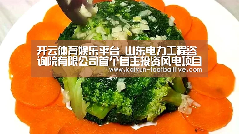 开云体育娱乐平台_山东电力工程咨询院有限公司首个自主投资风电项目并网发电(图2) 开云电竞娱乐平台