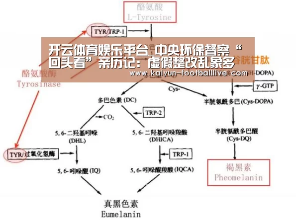 开云综合娱乐平台