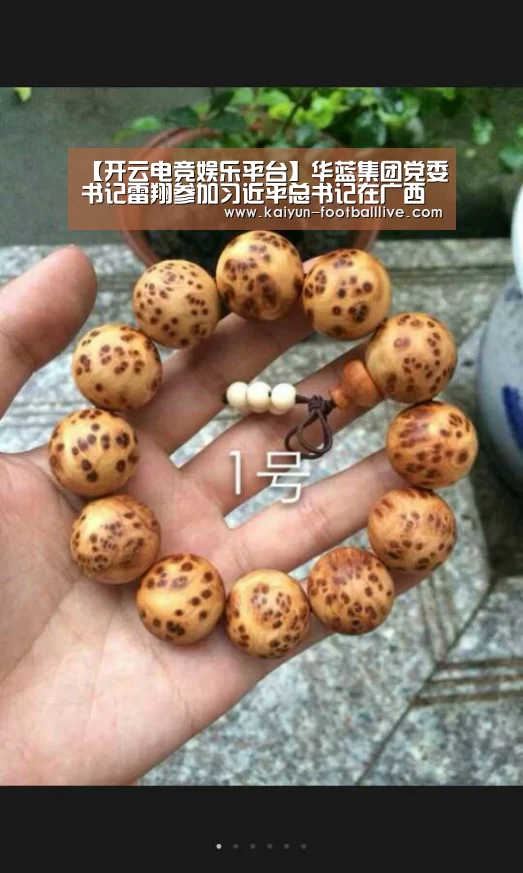 【开云电竞娱乐平台】华蓝集团党委书记雷翔参加习近平总书记在广西主持召开的座谈会(图3) 开云真人娱乐